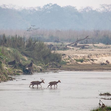 Sanctuary Chitwan National Park Exterior foto