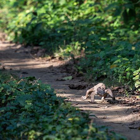 Sanctuary Chitwan National Park Exterior foto
