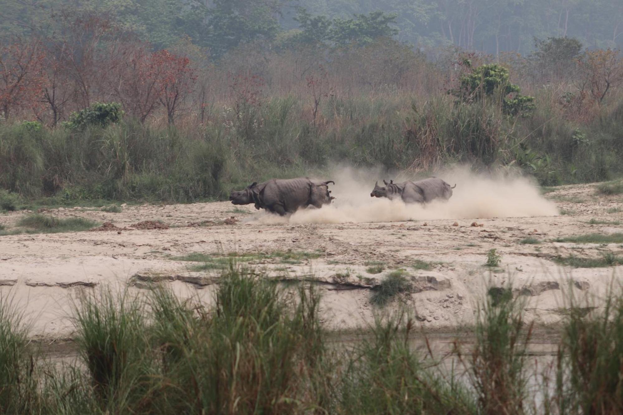 Sanctuary Chitwan National Park Exterior foto